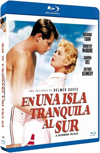 A Summer Place (1959) disc cover