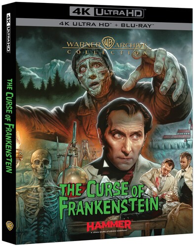 Frankenstein (2025) disc cover
