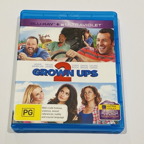 Grown Ups 2 (2013) disc cover