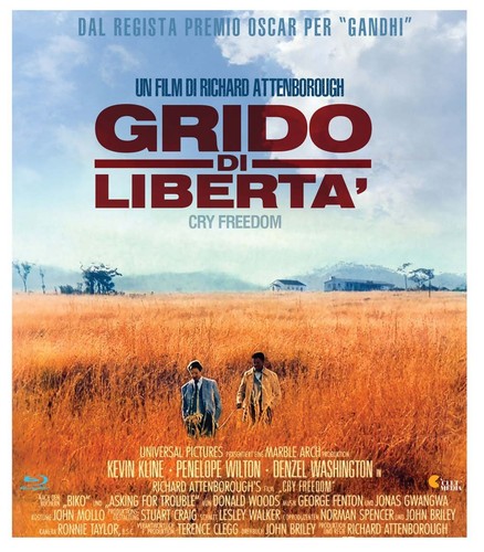 Il Grido (1957) disc cover