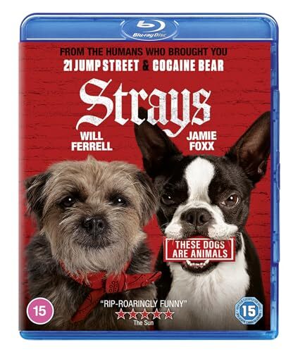 Strays (2023) disc cover
