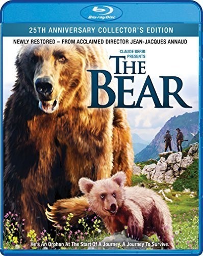 The Bear (1938) disc cover