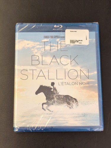 The Black Stallion (1979) disc cover
