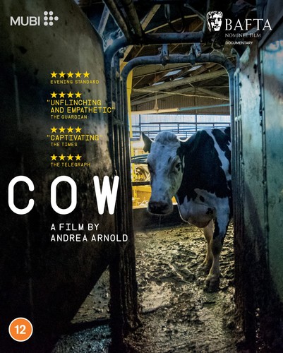 The Cow (1969) disc cover