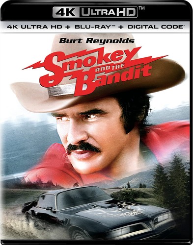 The Dig (2021) disc cover