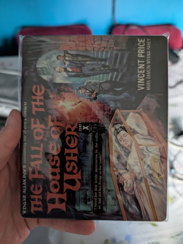 The Fall of the House of Usher (1928) disc cover