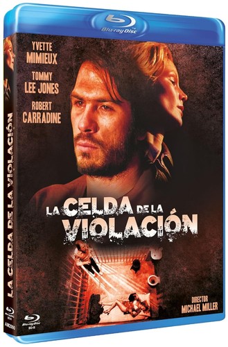 The Innocent (1976) disc cover