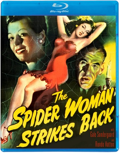 The Spider Woman (1943) disc cover